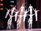 10 Facts about Acrobats