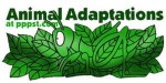 10 Facts about Adaptation