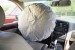 10 Facts about Airbags