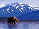 10 Facts about Alaska