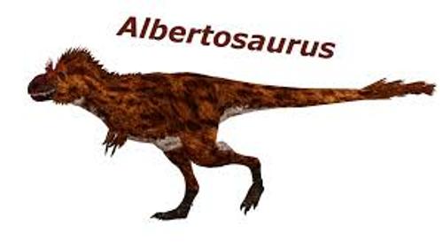 Albertosaurus Pic