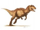 10 Facts about Allosaurus