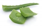 10 Facts about Aloe Vera