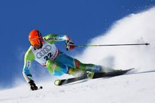 Alpine Skiing Competition