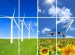 8 Facts about Alternative Energy