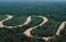 10 Facts about Amazon Rainforest