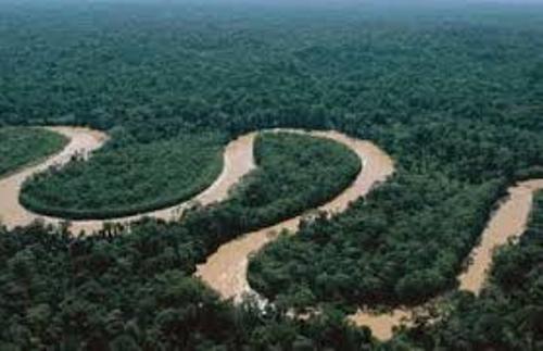 Amazon Rainforest and River