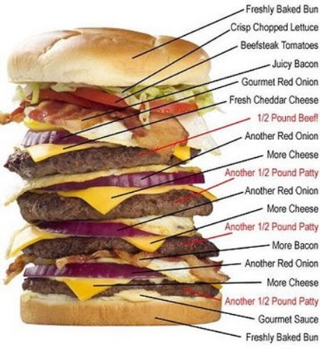 American Burger Ingredients