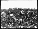 10 Facts about American Slavery