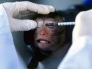 10 Facts about Animal Testing