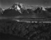 10 Facts about Ansel Adams