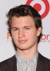 10 Facts about Ansel Elgort