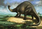 10 Facts about Apatosaurus