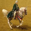 10 Facts about Arabian Horses