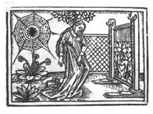 ARACHNE FACTS visual data 5