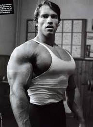 Arnold Schwarzenegger Young