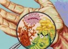 8 Facts about Bacteria and Viruses