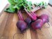 10 Facts about Beetroot