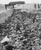 10 Facts about Bergen Belsen Concentration Camp