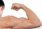 8 Facts about Biceps