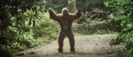 10 Facts about Bigfoot