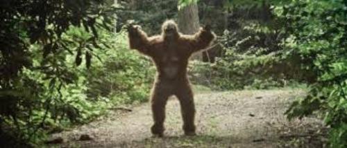 Bigfoot Creature