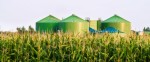 10 Facts about Biomass