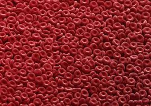 Blood Cells Facts