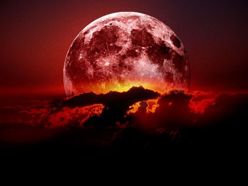 Blood Moon Picture