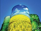 10 Facts about Biodiesel