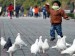 10 Facts about Bird Flu