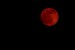 10 Facts about Blood Moon