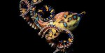 10 Facts about Blue Ringed Octopus