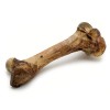 10 Facts about Bones