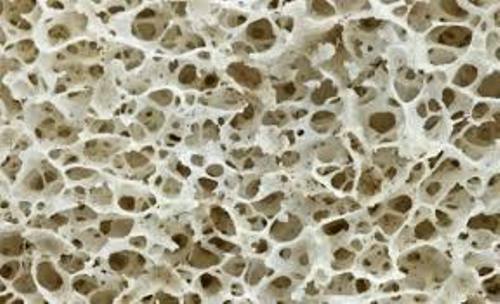 Bone Texture