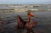 10 Facts about BP Oil Spill