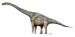 10 Facts about Brachiosaurus
