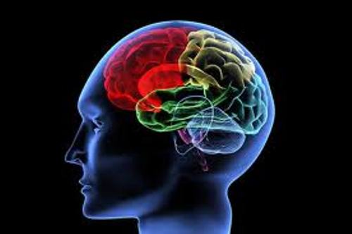 Facts about Brain Injury