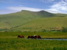 10 Facts about Brecon Beacons