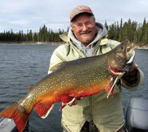 Brook Trout Image