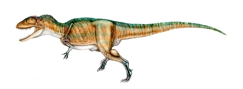 Carcharodontosaurus Pic