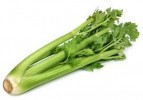 10 Facts about Celery