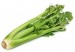 10 Facts about Celery