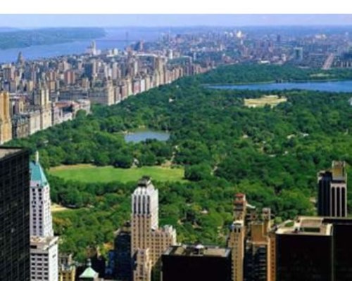 Central Park Image