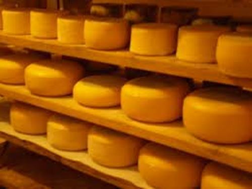Cheese Process