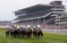 10 Facts about Cheltenham