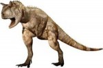 10 Facts about Carnotaurus