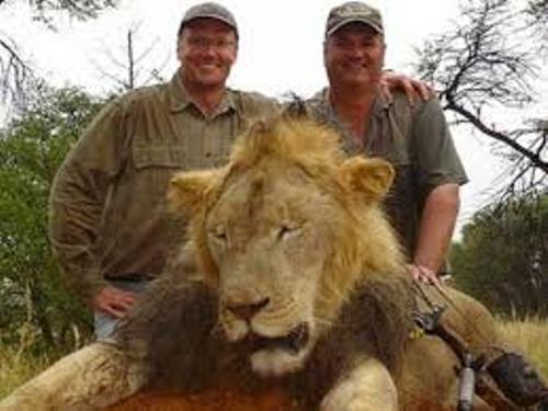 Facts about Cecil The Lion