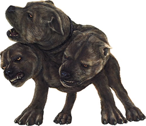 Facts about Cerberus