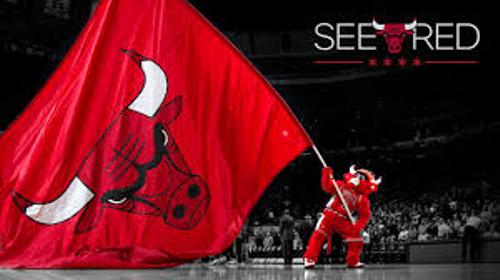 Chicago Bulls Game